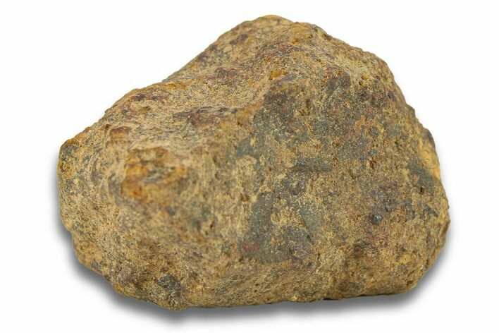 Gold Basin Chondrite Meteorite ( g) - Arizona #282834